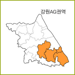 강원 AA~AH 권역  [ 구매옵션에서 선택 가능 ]