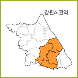 강원 AI~AQ 권역  [ 구매옵션에서 선택 가능 ]