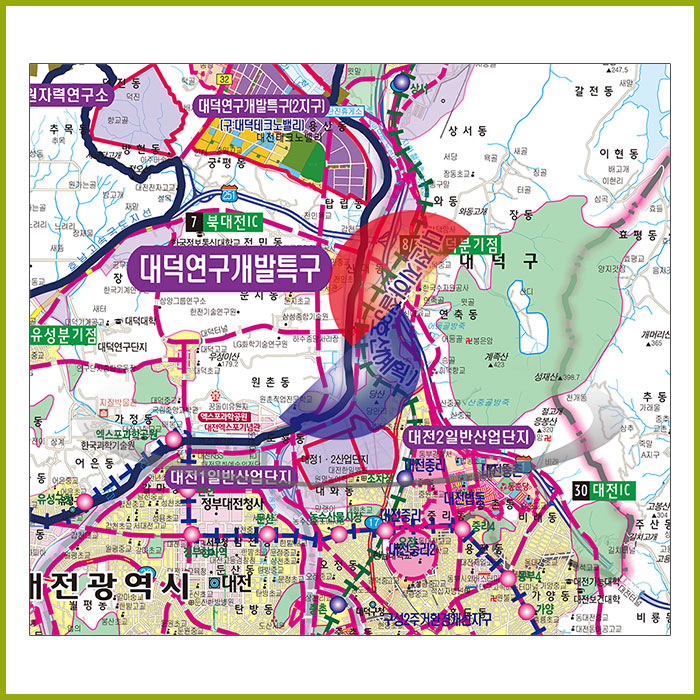 대전광역시 개발계획도 [ 족자 ]